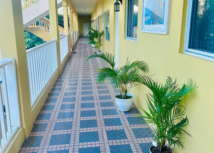 Spring Palm Estate